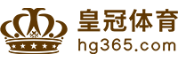 Logo FH|FH体育官网|FH官方网站